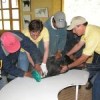 Zoological Foundation of Ecuador staff examine an Andean condor. Credit: Courtesy of FZE
