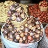 Potato varieties Credit: Bioversity International