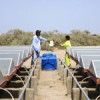 A solar-powered desalination plant has sparked hope for clean water among the residents of Jat Mohammad village in Pakistan. Credit: Zofeen Ebrahim/IPS