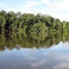 On the Xingú, what look like riverbanks are almost always islands. Credit: Mario Osava/IPS