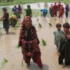 Having land has made all the difference to Zar Bibi, a 60-year-old widow (centre). Credit: Zofeen Ebrahim/IPS