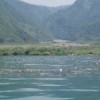 The rains from tropical storm Agatha left mud and garbage in Lake Atitlán, Guatemala. Credit: Courtesy of Prolago