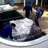 Fishermen unloading shark fins bound for Asian markets. Credit: Oceana/LX
