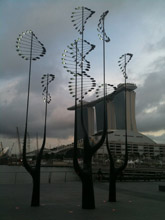 'Breathe', one of two Olympic-themed sculptures unveiled for the Youth Games, catches the wind under the watchful eye of the Marina Bay Sands casino. Credit: Stanislaus Jude Chan/IPS 'Breathe', one of two Olympic-themed sculptures unveiled for the Youth Games, catches the wind under the watchful eye of the Marina Bay Sands casino. Credit: Stanislaus Jude Chan/IPS