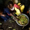 Shelling beans in North Kivu: DRC farmers face numerous obstacles to increased productivity. Credit:  Aubrey Graham/IRIN