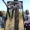 Zimbabwean war veterans hold a make-shift sign directing people to their seized farm plots. Credit: Fidelis Zvomuya/IPS