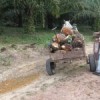 Young farmer loads bunches of oil palm fruit on his cart. Credit: Mario Osava/IPS 