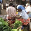 Sistre Muthoni displays her farm produce at a market in Nairobi, Kenya. Many farmers in Kenya use credit services cooperatives.  Credit: Suleiman Mbatiah/IPS