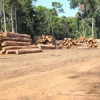 Lumber from Antimary forest ready for transport. Credit: Mario Osava/IPS