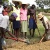 A cash-for-work team in Perèy whose members are mostly not working. Credit: Haiti Grassroots Watch
