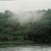 A cloud forest in Costa Rica.  Credit: Germán Miranda/IPS