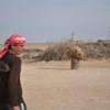 On a drought-hit farm in Syria. Credit: Caterina Donattini