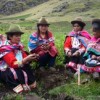 Peruvian peasant women working in the potato fields.  Credit: Milagros  Salazar/IPS 