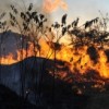 Fire rages through the Cerrado in 2010. Credit: EBC, Creative Commons license