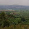 Despite growing use of scarce remaining forests for fuel wood, Rwanda's forest cover is increasing. Credit:  Fanny Schertzer/Wikicommons