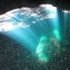 A cenote, or sinkhole, in the Mexican Caribbean. Credit: Jim Conrad/Public Domain