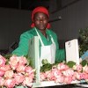 Mercy Kagendo grades flowers at Kisima Farm in Timau in Kenya's Rift Valley. Credit: Suleiman Mbatiah/IPS