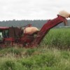The 34 women taking the course hope to one day operate a sugarcane harvester like this one. Credit: Mario Osava /IPS