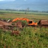 Peasant farms razed to the ground in Polochic Valley, Guatemala.  Credit: Courtesy of Comité de Unidad Campesina