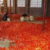 Tomatoes in a warehouse in Salima, Malawi. Credit: Claire Ngozo/IPS