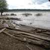 Tree trunks cast up by the powerful Beni river at Cachuela Esperanza.  Credit: Mario Osava/IPS