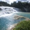 Rainforest in the state of Chiapas.  Credit: Mauricio Ramos/IPS