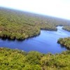 A private company wants to install a liquid petroleum gas storage plant in the Punta de Manabique reserve on Guatemala