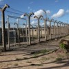 There are 51 prisoners awaiting execution in Zimbabwe.  Credit: Credit: Nyarai Mudimu/IPS
