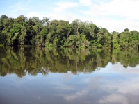 Island on the Xingu River.  Credit: Mario Osava/IPS 