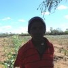 Caroline Ndlovu is one of over 100 smallholder farmers practising the water harvesting technique of using earth dams.  Credit: Busani Bafana/IPS