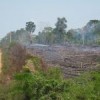 Slash-and-burn clearing in the rainforest in the state of Acre, next to Amazonas.  Credit: Mario Osava/IPS