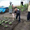 Students tending the garden at the school in San Cristóbal Totonicapán.  Credit: Courtesy of FAO/Guatemala