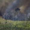 Fires in the Amazon. Credit: Courtesy of Greenpeace