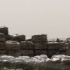 Aid meant for Gaza going waste in Egypt. Credit: Erin Cunningham