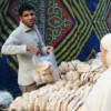 Ready-baked bread has helped liberate Egyptian women from the kitchen, allowing them to enter the workforce or spend more time with their children. Credit: Cam McGrath/IPS