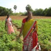Women living with HIV/AIDS on their farm Credit: Nitin Jugran Bahuguna