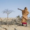 By some estimates, eastern Chad will be stripped bare of firewood within a year. Credit: Anne Holmes/IPS