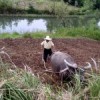  Credit: morgueFile.com