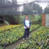 Verónica Martínez surrounded by the flowers she grows. Credit: Emilio Godoy/IPS