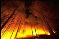 Global warming could usher in a new regime of larger, longer-burning fires, as well as fires in places that historically have been hard to ignite, like moist tropical forests.  Credit: U.S. Department of Agriculture