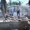 Mauritius is developing its fishing industry to become more competitive. Credit: Nasseem Ackbarally/IPS