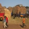 Trucks loaded with tobacco at Lilongwe auction floor. Credit: Pilirani Semu-Banda/IPS