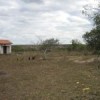 The arid northeast. Credit: IPS/Mario Osava.
