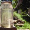 Sediment lurks in a bottle of Grahamstown tap water. Credit: Mana Meadows/IPS