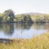 The Kafue River: at risk from mining, deforestation, sewage -- and the notorious "Kafue weed". Credit: Newton Sibanda