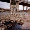 U.S. chemical officer checks for oil pockets in a Tigris tributary after pipeline rupture. Credit: US Defence Dept/Spc. Joshua Hutcheson