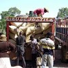 Men unload coffee at a market on the border between Haiti and the Dominican Republic. Credit: Alexandra Pope