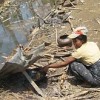 Cyclone survivor cooking a meal for her family close to a carcass-ridden ditch. Credit: Mizzima News