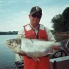 Invasive Asian silver carp caught by a wildlife officer during a roundup. Credit: U.S. Fish and Wildlife Service