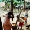 Girls prepare cassava for cooking in Malawi. Will the region follow suit? (Photo: Naashon Zalk) Credit: PictureNET Africa